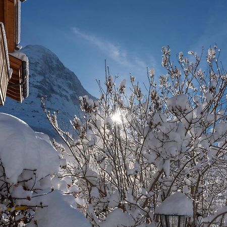 Chalet Alia And Apartments-Grindelwald By Swiss Hotel Apartments エクステリア 写真