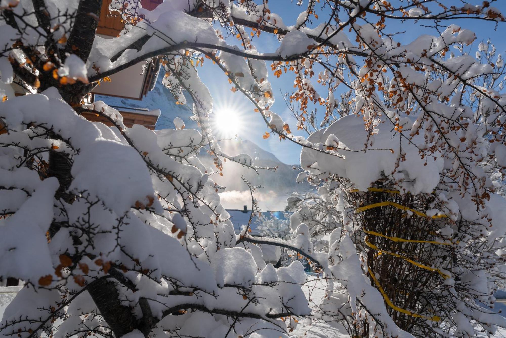 Chalet Alia And Apartments-Grindelwald By Swiss Hotel Apartments エクステリア 写真