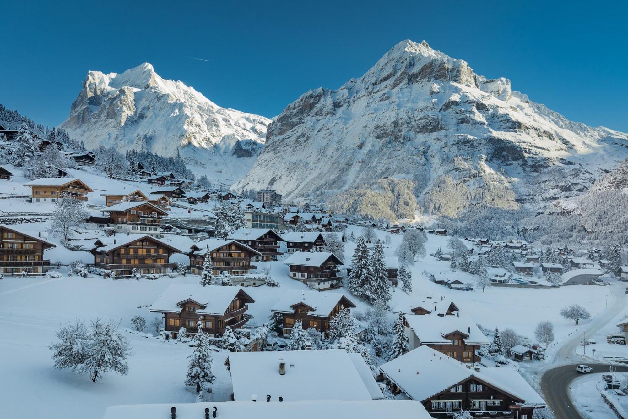 Chalet Alia And Apartments-Grindelwald By Swiss Hotel Apartments エクステリア 写真