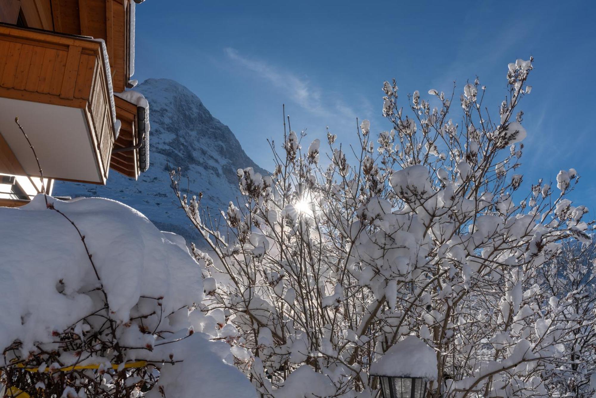 Chalet Alia And Apartments-Grindelwald By Swiss Hotel Apartments エクステリア 写真