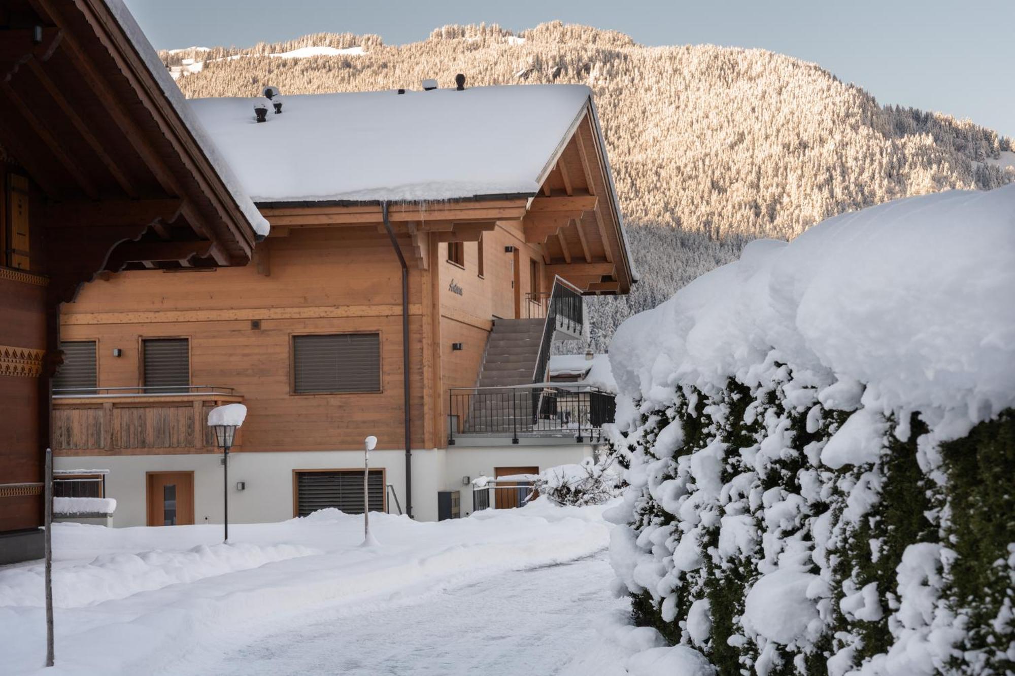 Chalet Alia And Apartments-Grindelwald By Swiss Hotel Apartments エクステリア 写真