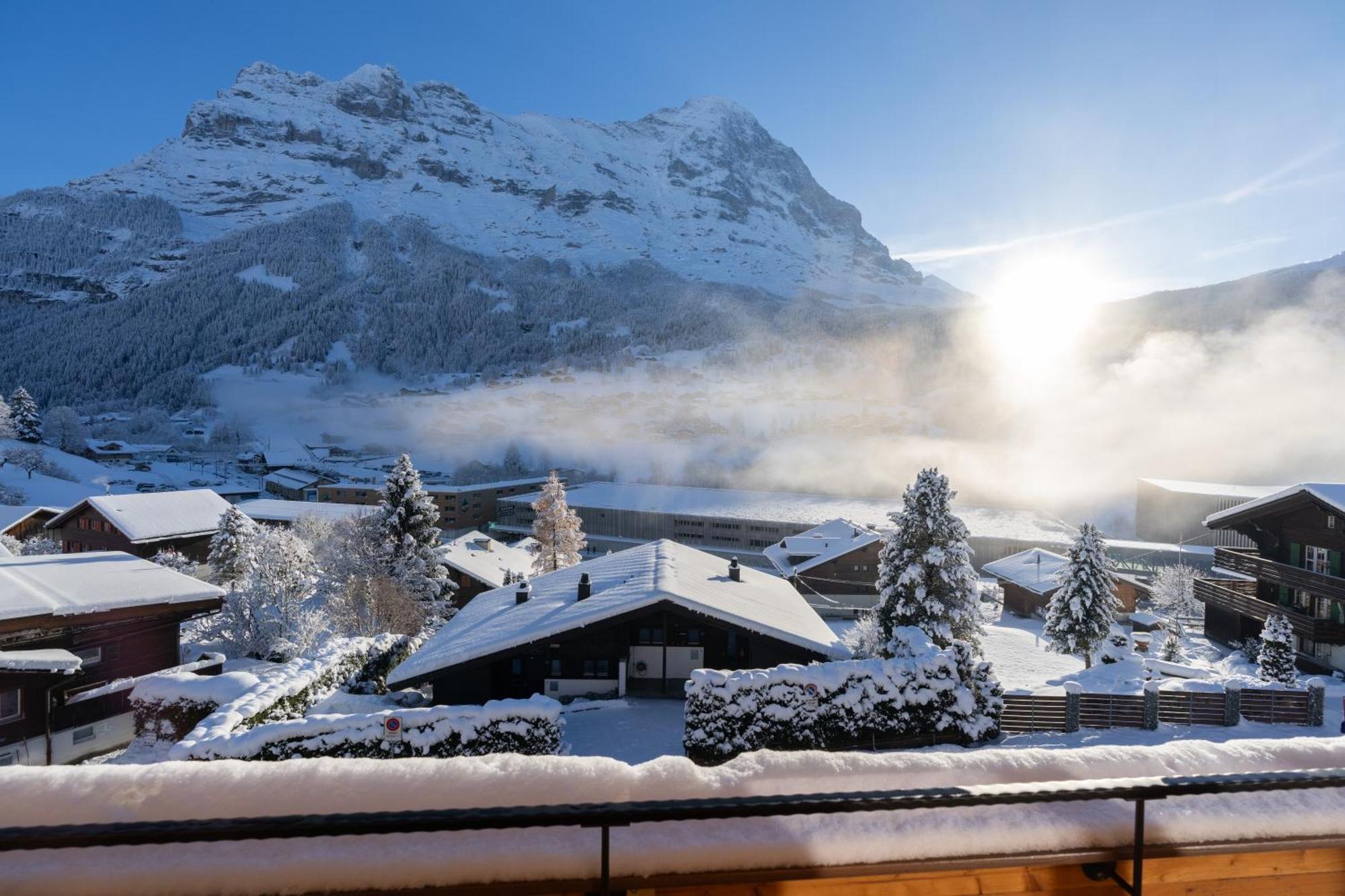 Chalet Alia And Apartments-Grindelwald By Swiss Hotel Apartments エクステリア 写真