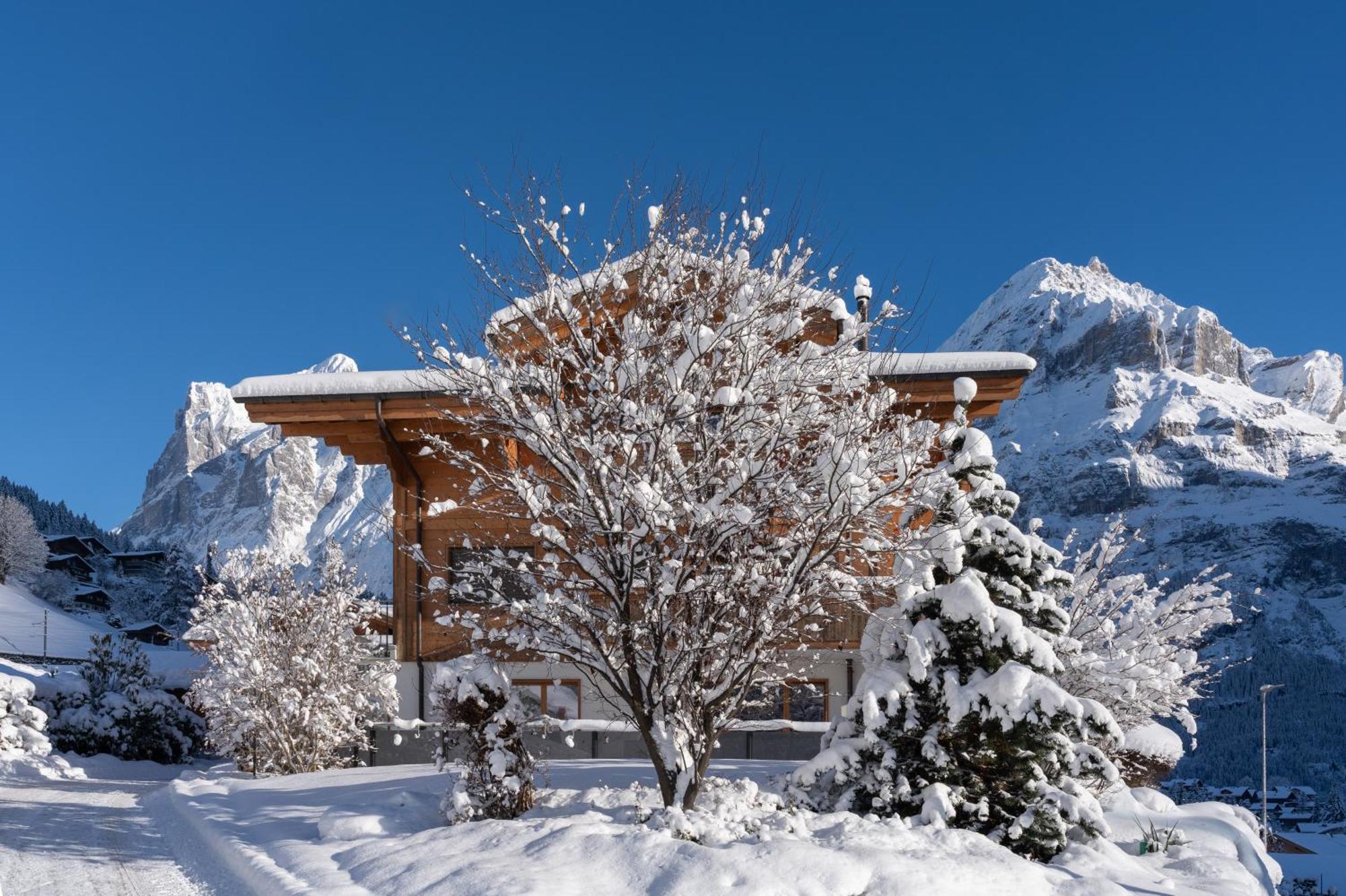 Chalet Alia And Apartments-Grindelwald By Swiss Hotel Apartments エクステリア 写真
