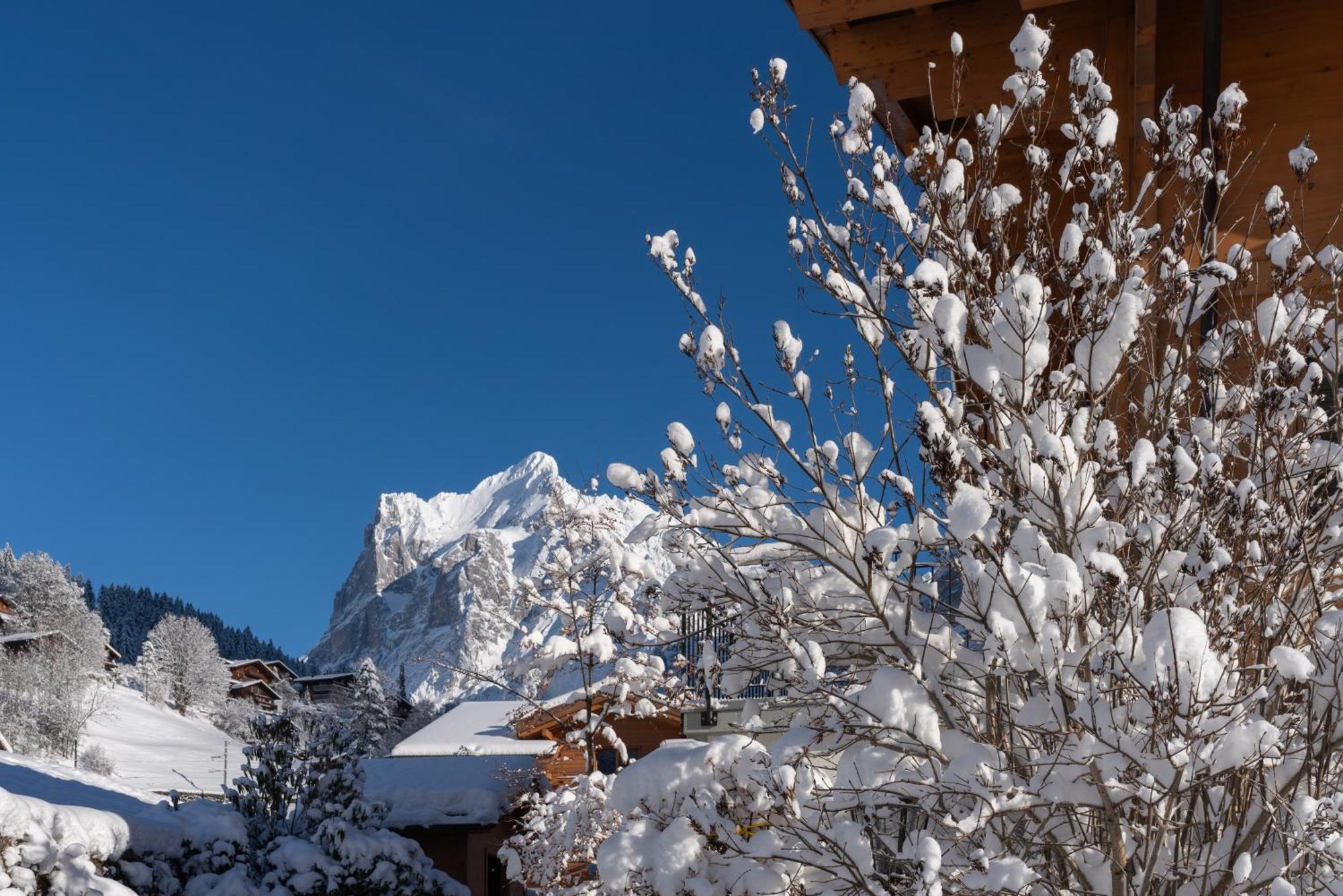 Chalet Alia And Apartments-Grindelwald By Swiss Hotel Apartments エクステリア 写真